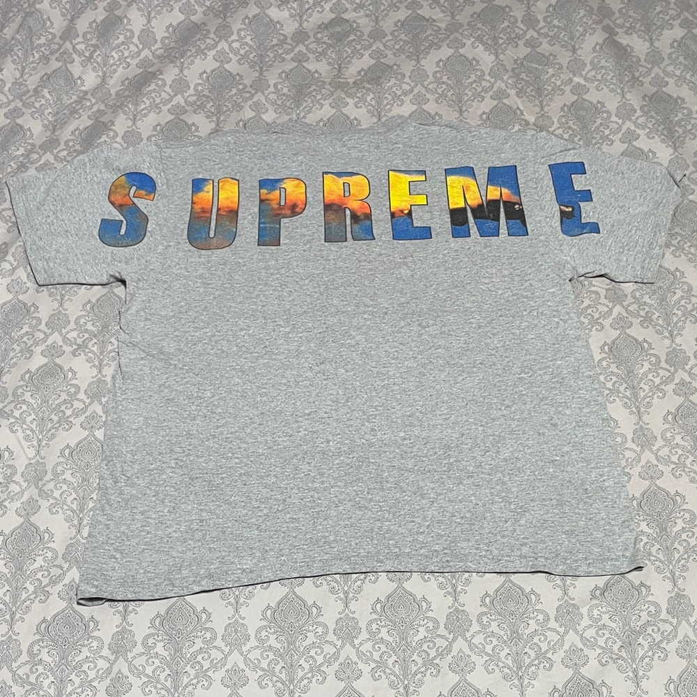 Supreme Gray Crash Tee